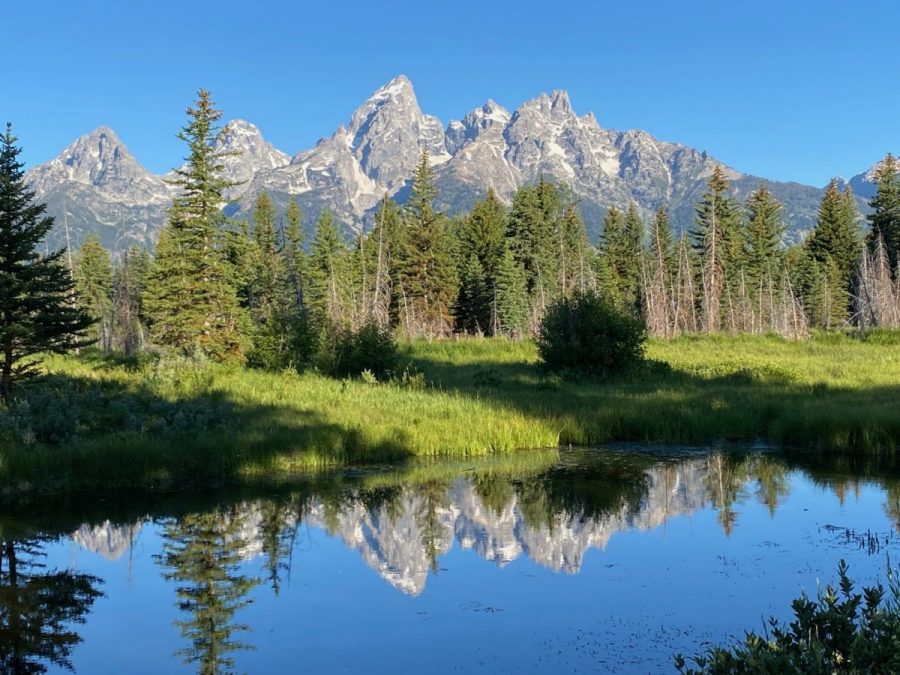 Read more about the article Welcome to our Adventures